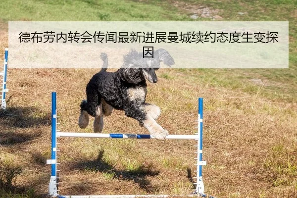 德布劳内转会传闻最新进展曼城续约态度生变探因